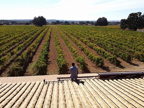 pepe rodriguez finca casalta winery roof